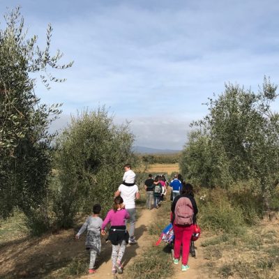 IMG-20180831-WA0014