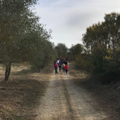 IMG-20180831-WA0016