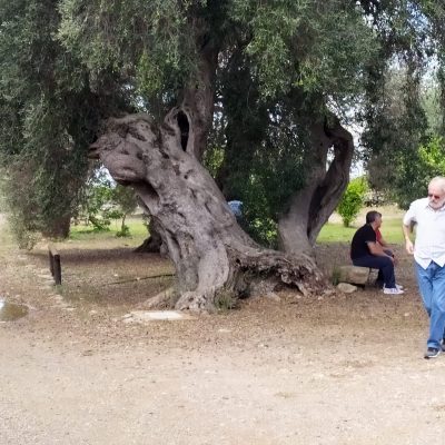 IMG-20191027-WA0005 - Comune Santadi