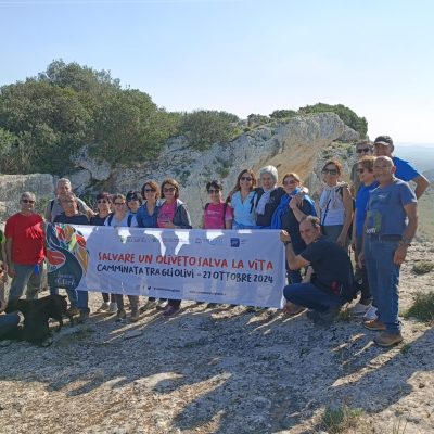IMG_20241103_111536 - Comune di Samatzai - Provincia Sud Sardegna