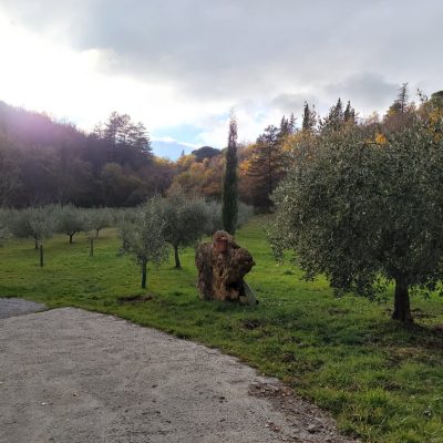 Comune di Sarteano